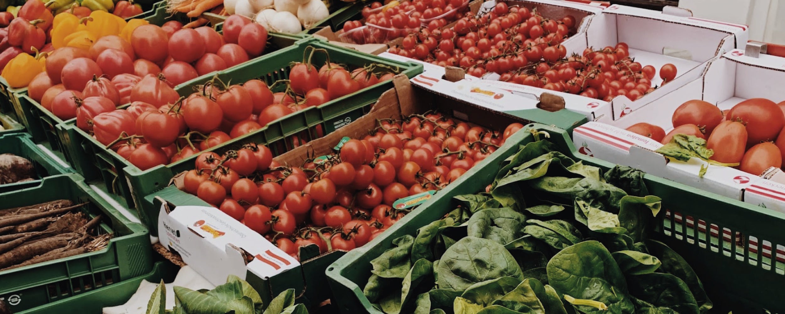 Cuisine d'Été